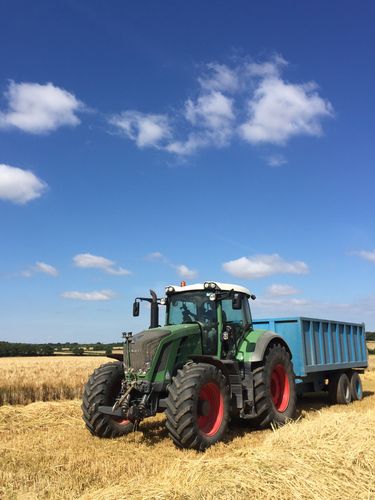 grain tractor harvesting wheat